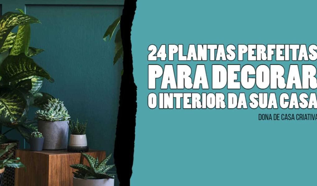 24 PLANTAS PERFEITAS PARA DECORAR O INTERIOR DA SUA CASA
