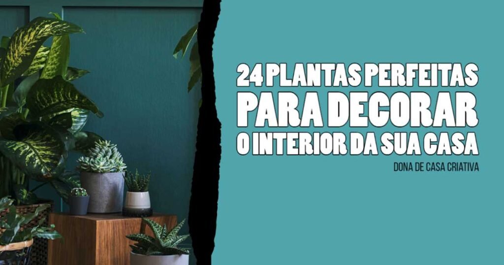 24 PLANTAS PERFEITAS PARA DECORAR O INTERIOR DA SUA CASA