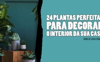 24 PLANTAS PERFEITAS PARA DECORAR O INTERIOR DA SUA CASA