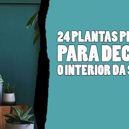 24 plantas perfeitas para decorar o interior da sua casa 24 PLANTAS PERFEITAS PARA DECORAR O INTERIOR DA SUA CASA