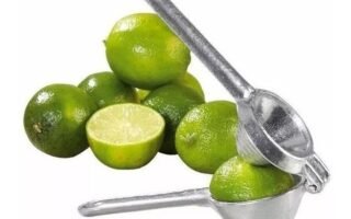 desinfetante caseiro de limão
