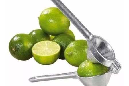 desinfetante caseiro de limão