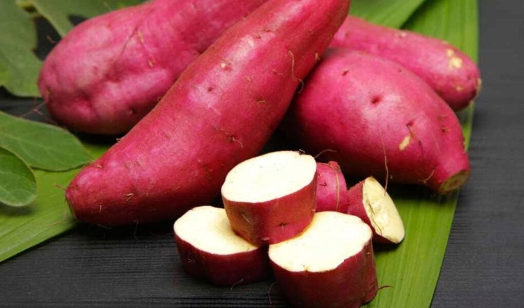 Benefícios da folha de batata doce batata doce