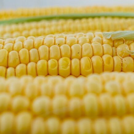 Milho verde assado na airfryer Corn 5199393 1280 435x435