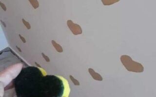 FB IMG 1626232699083 320x200