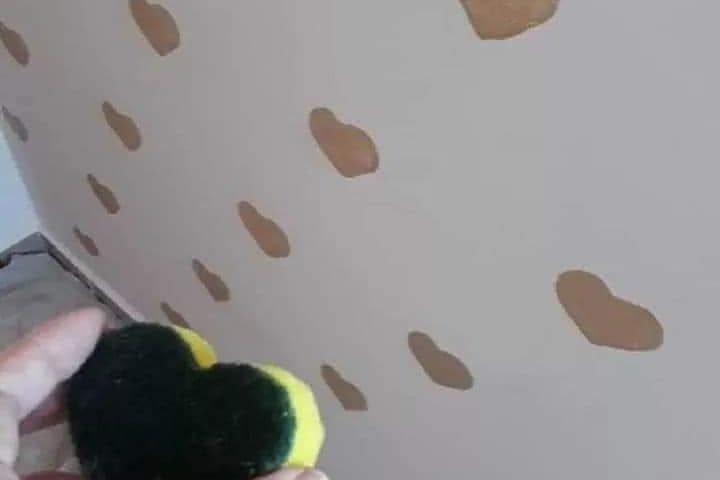 FB IMG 1626232699083 720x480