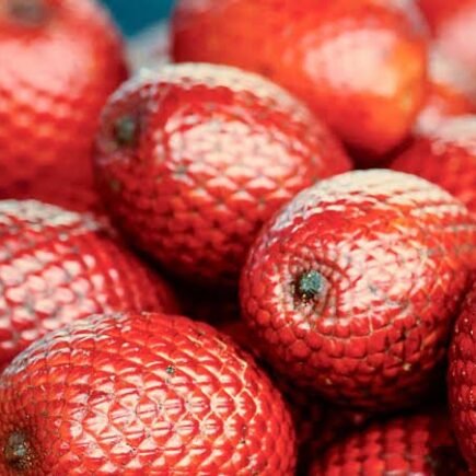 Buriti 435x435