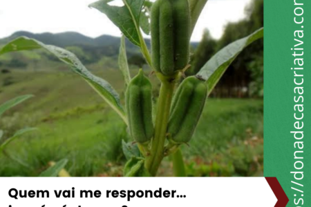 isso é pé de que?