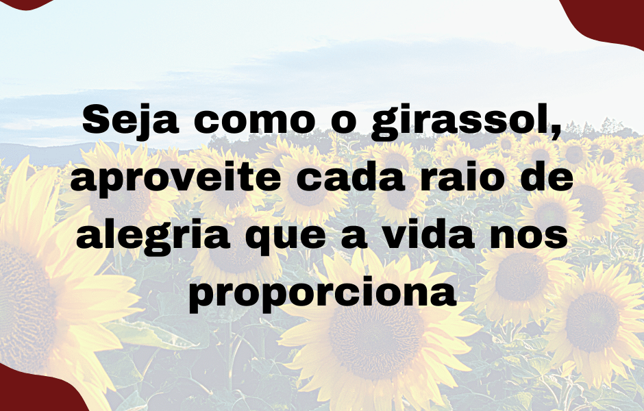 Seja como o girassol Png 20211207 084413 0000 940x600