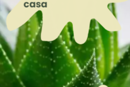 Plantas para interiores