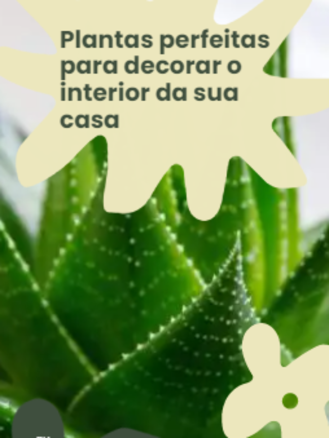 Plantas para interiores