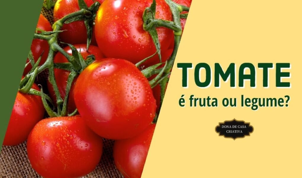 TOMATE É FRUTA OU LEGUME