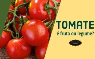 TOMATE É FRUTA OU LEGUME