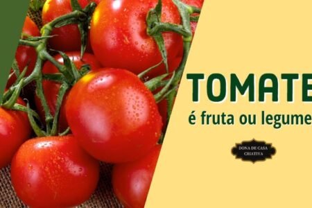 TOMATE É FRUTA OU LEGUME