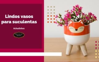 lindos vasos para suculentas