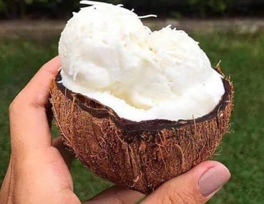 Sorvete De Coco Dona De Casa Criativa