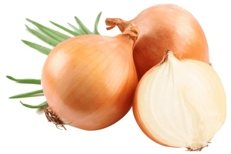 cebola