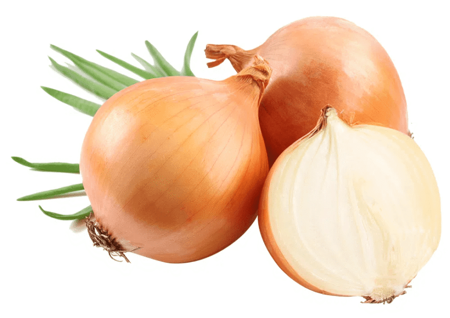 cebola