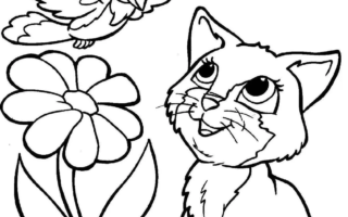 desenhos para imprimir