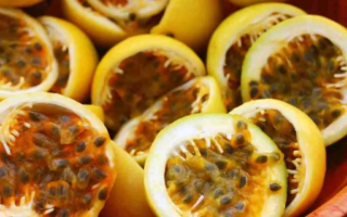 Receitas com maracujá