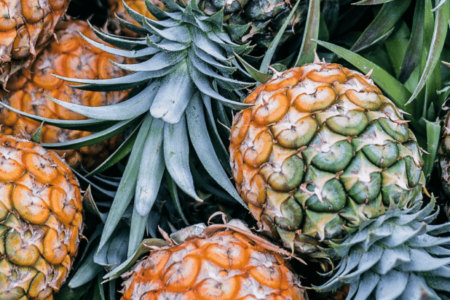 plantar abacaxi em casa