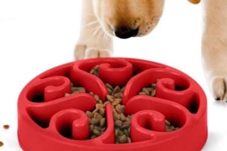 Comedouros Lentos para Cachorros - Dicas de como escolher e benefícios para a saúde do seu pet Comedouro lento