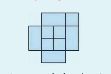 FB IMG 1687561770068 1 450x300