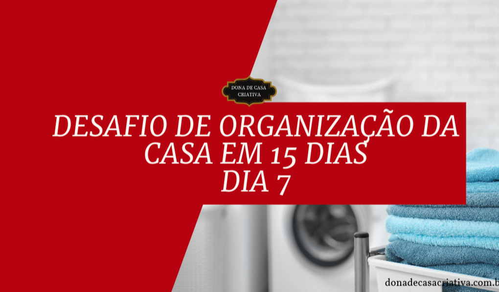 Desafio de Organização da Casa em 15 Dias - Dia 7 Organizar a Lavanderia Desafio de Organização da Casa em 15 Dias - Dia 7 Organizar a Lavanderia