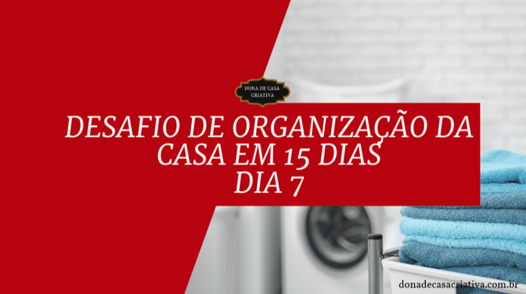 Desafio de Organização da Casa em 15 Dias - Dia 7 Organizar a Lavanderia