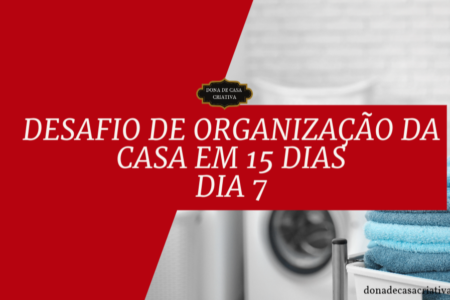 Desafio de Organização da Casa em 15 Dias - Dia 7 Organizar a Lavanderia