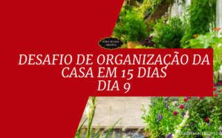 Desafio de Organização da Casa em 15 Dias - Dia 9 Organizar áreas externas