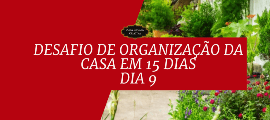 Desafio de Organização da Casa em 15 Dias - Dia 9 Organizar áreas externas