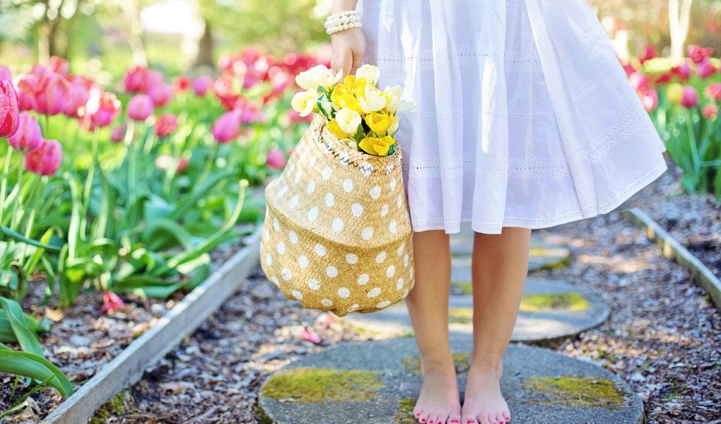 22 de setembro Bem-Primavera: Renovação, Cores e Flores Desabrochando! Primavera