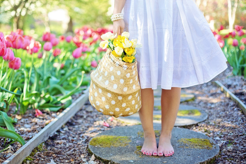 image 90 22 de setembro Bem-Primavera: Renovação, Cores e Flores Desabrochando!