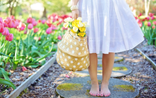 Primavera