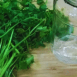 Como Conservar Coentro ou Salsa Fresca por Mais Tempo Conservar Coentro ou Salsa