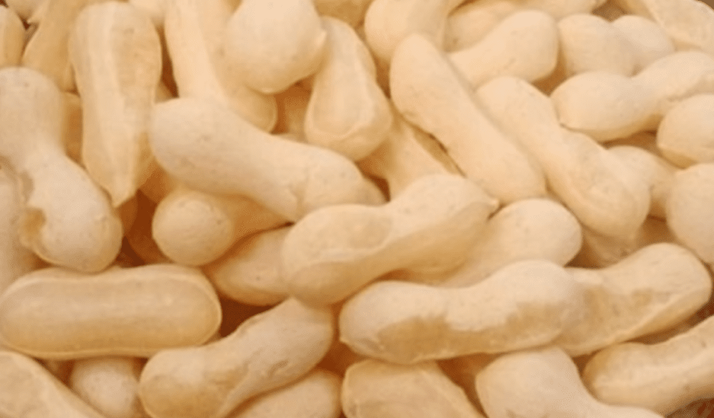 Biscoito de Polvilho