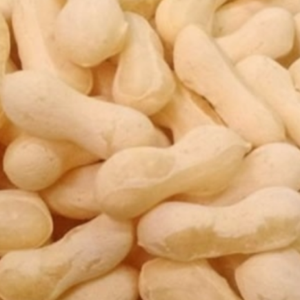 Biscoito de Polvilho