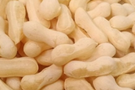 Biscoito de Polvilho