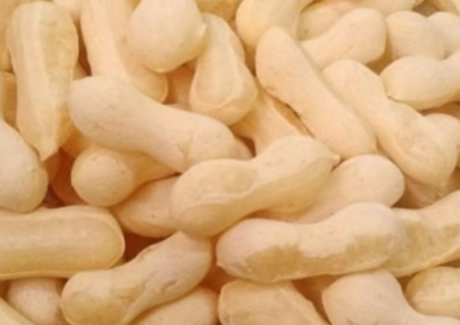 Biscoito de Polvilho