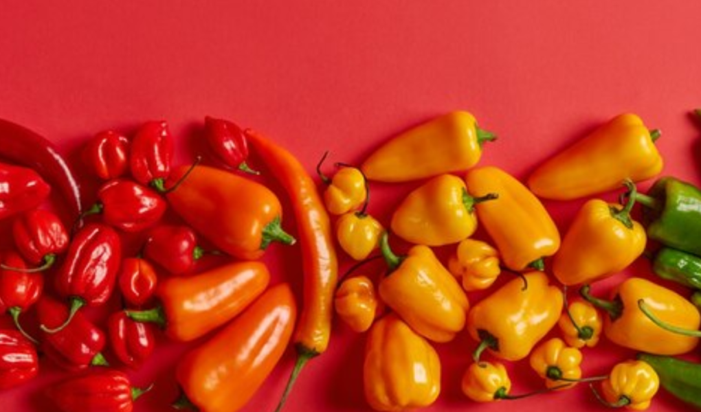 Receita de Pimenta em Conserva Pimenta em conserva