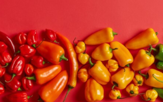 Pimenta em conserva