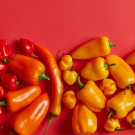 Receita de Pimenta em Conserva Pimenta em conserva