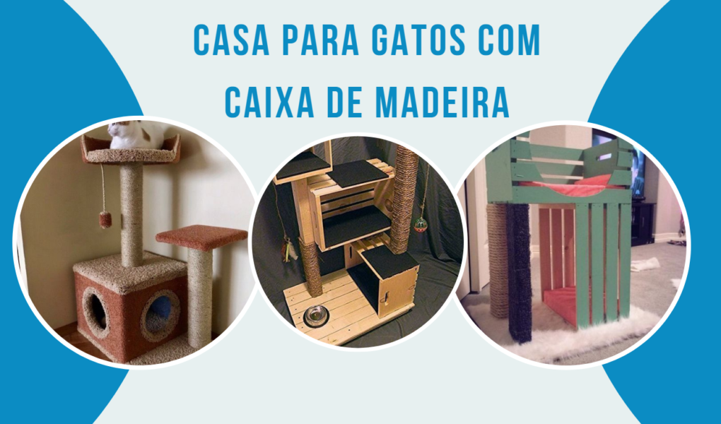 Casa para Gatos de Caixa de Madeira