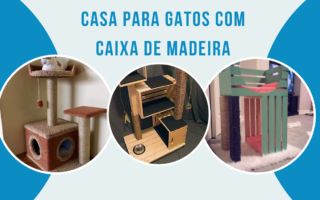 Casa para Gatos de Caixa de Madeira
