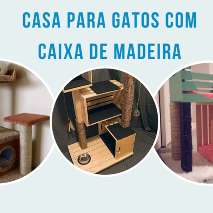 Casa para Gatos de Caixa de Madeira: Conforto e Estilo para Seu Pet Casa para Gatos de Caixa de Madeira