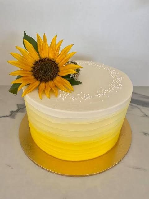 bolo de aniversário feminino