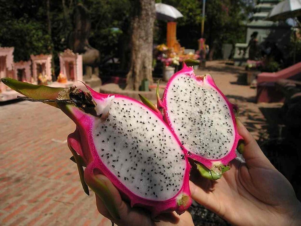 Você Conhece a Pitaya?