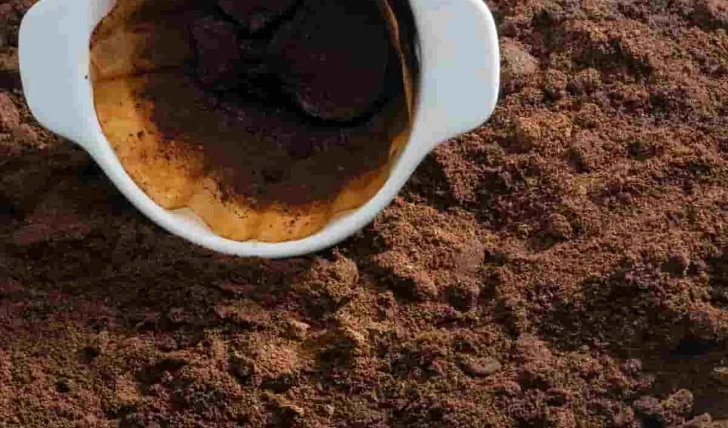 Reutilizar Borra de Café: 5 Dicas Criativas e Sustentáveis Image 41 1020x600