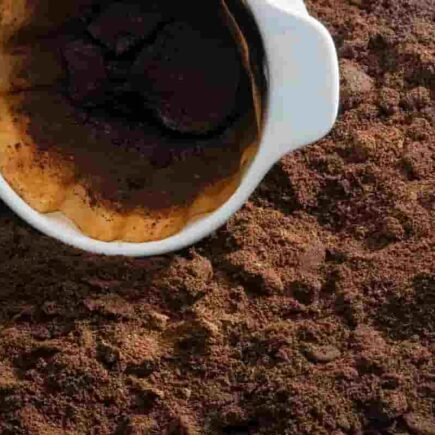 Reutilizar Borra de Café: 5 Dicas Criativas e Sustentáveis Image 41 435x435